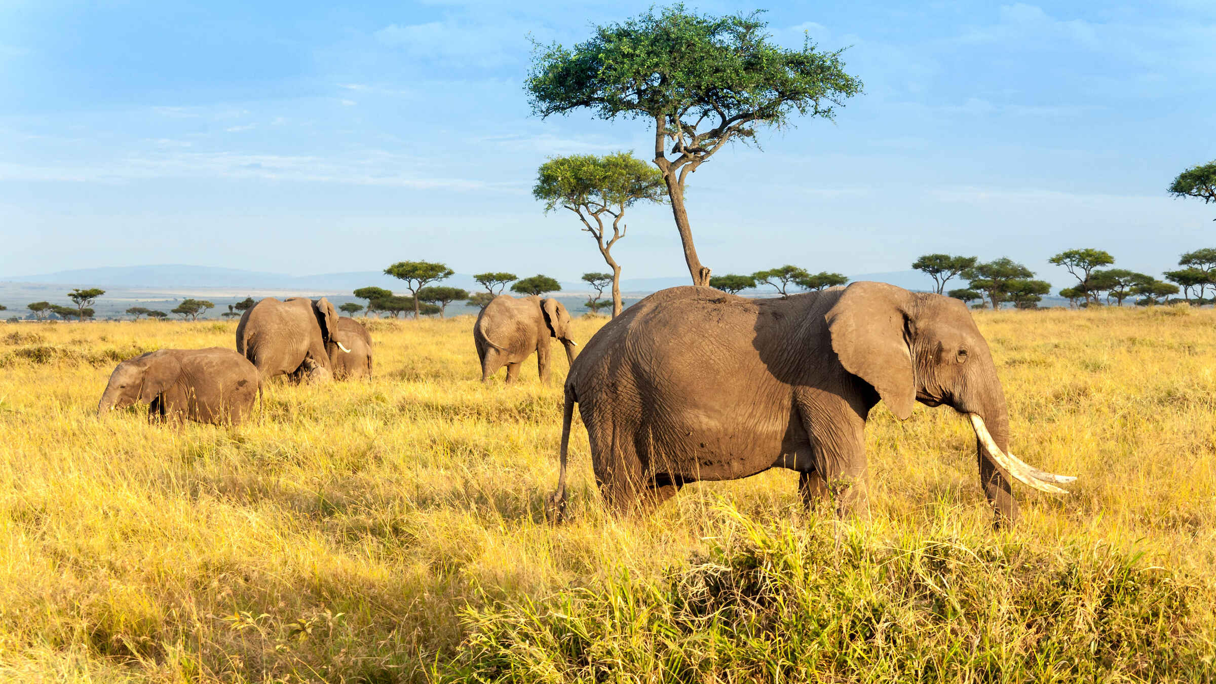 4 Days Amboseli National Park Safari